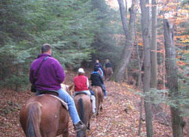 Uncle Buck's Horseback Rides in Hocking Hills Ohio